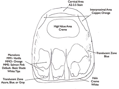 color map for a tooth